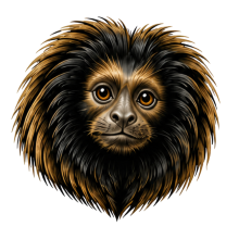 Black Lion Tamarin Coffee